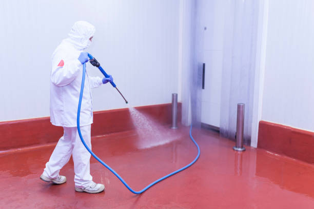 Best Oil Spill Cleanup  in St Charles, MN