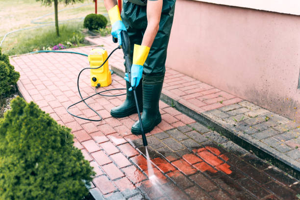 Best Solar Panel Cleaning  in St Charles, MN