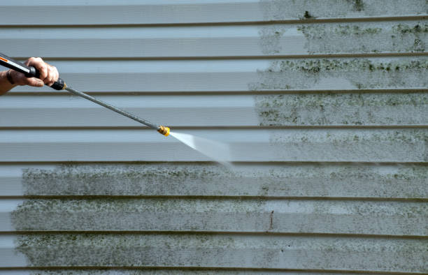 Best Dumpster Area Cleaning  in St Charles, MN