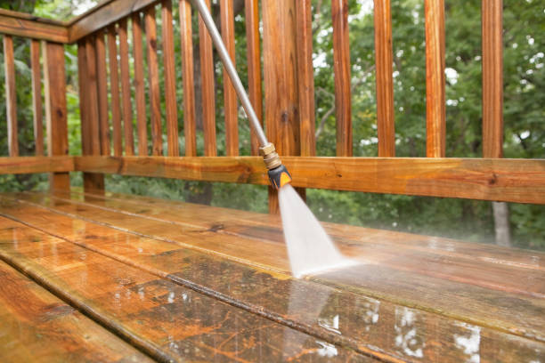 Best Gutter Cleaning  in St Charles, MN